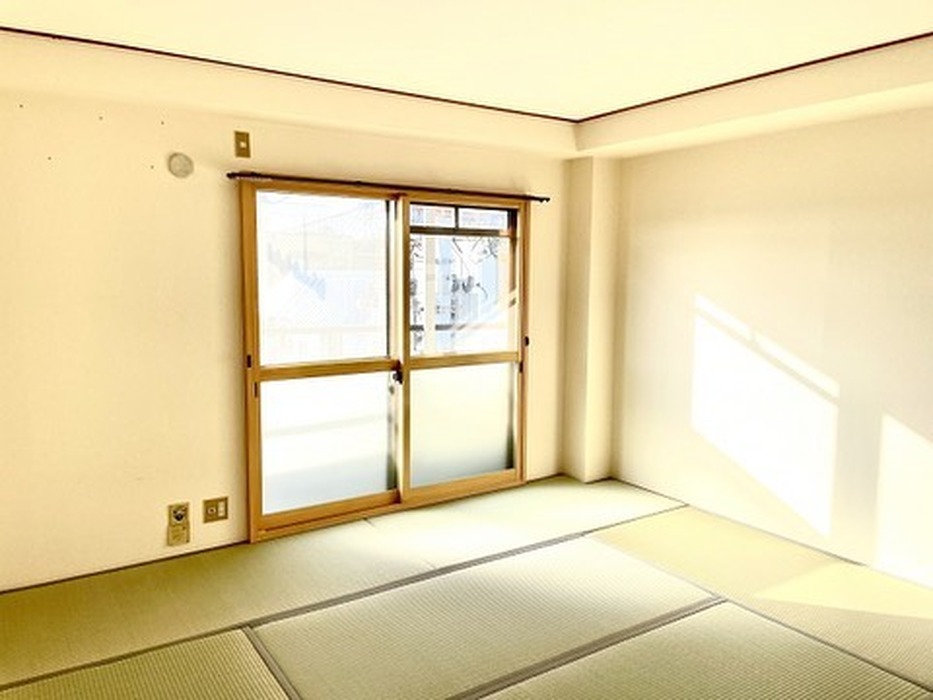 画像289