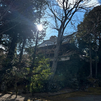 画像621