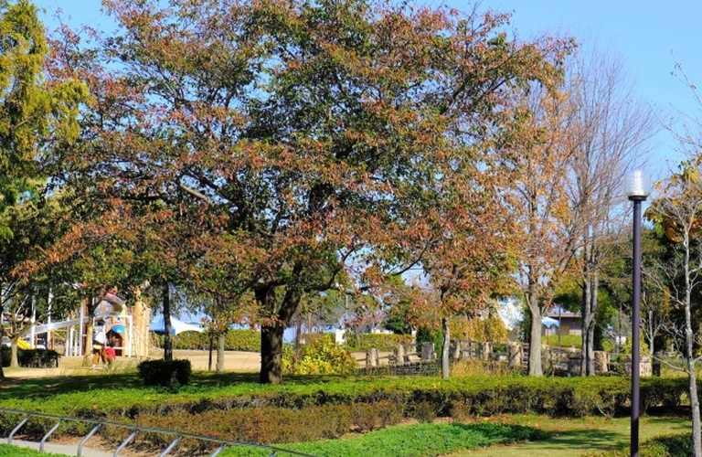 明石市｜空き家になった遺品整理ならGreenBaseにお任せ